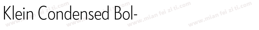 Klein Condensed Bol字体转换